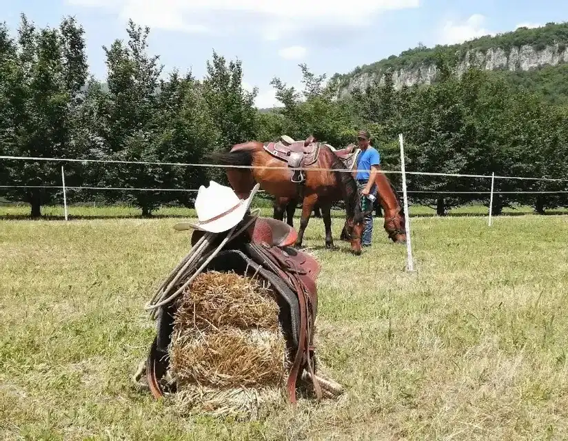 Giornata in Lessinia con passeggiata a cavallo