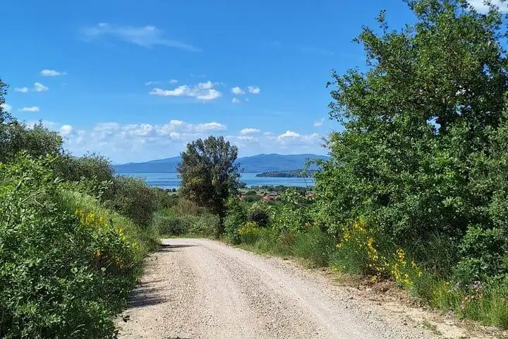 Trekking mattutino al Lago Trasimeno