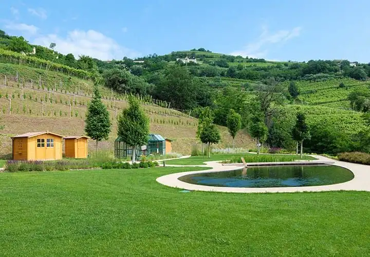 Pilates & Wine Experience in Cantina