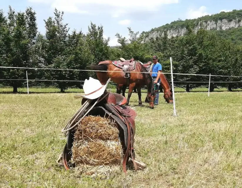 Passeggiata a Cavallo & Degustazione