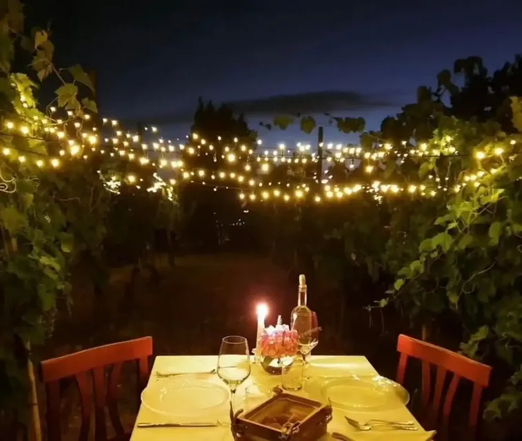Degustazione Vini & Cena in Vigna al Tramonto