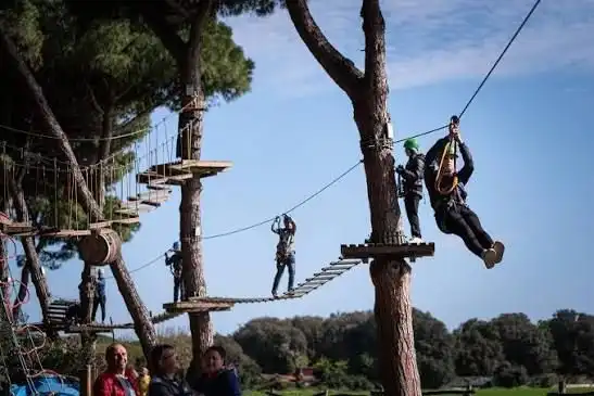 Parco Avventura + Cena + Labirinto di Mais