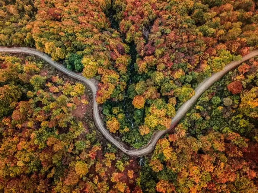🍂 Foliage all'Oasi Zegna: trekking d'autunno