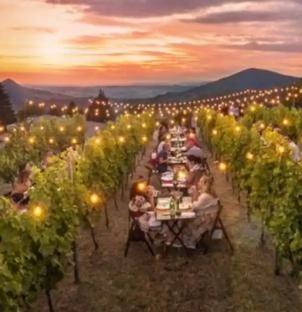 Cena “Stellata”nel Roero : dove cucina e vino si incontrano