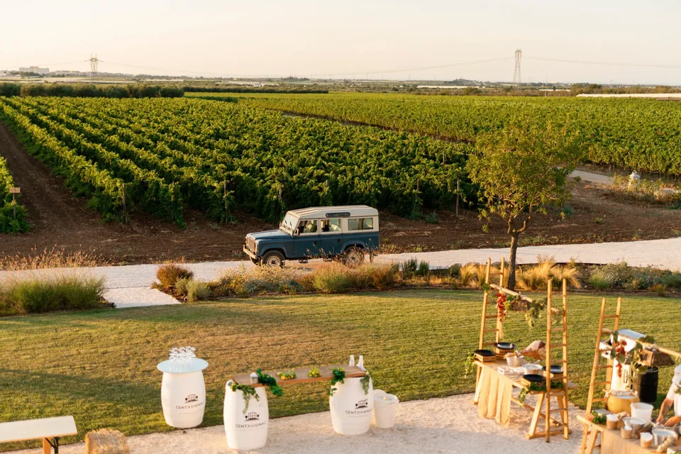 Good bye August, vino e musica