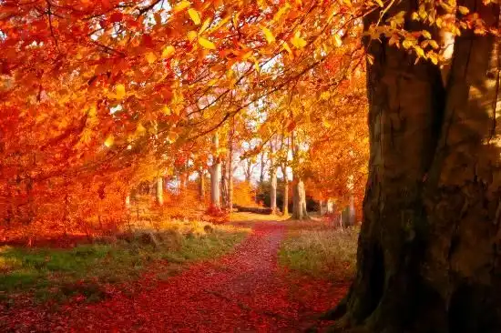 Foliage & Trekking in Abruzzo