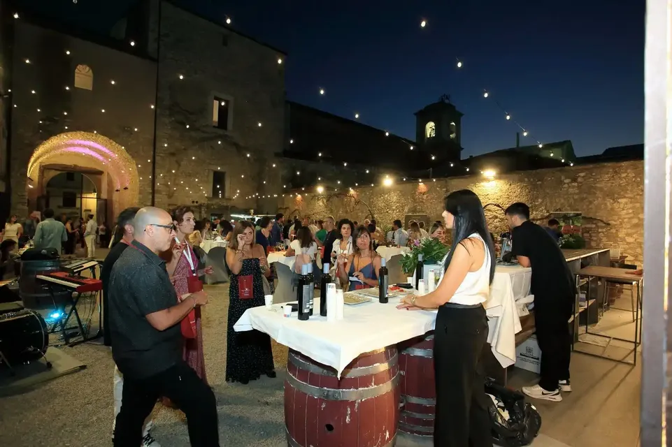 Cena-degustazione con serata al Castello di Taurasi