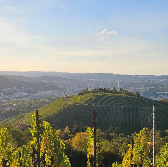 Wein & Weitblick: Herbstspaziergang am Württemberg