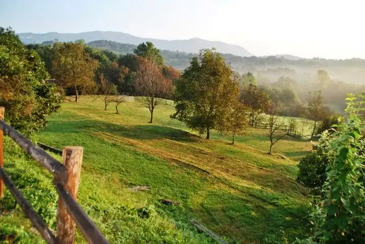 Trekking al Parco del Curone + Pic Nic 