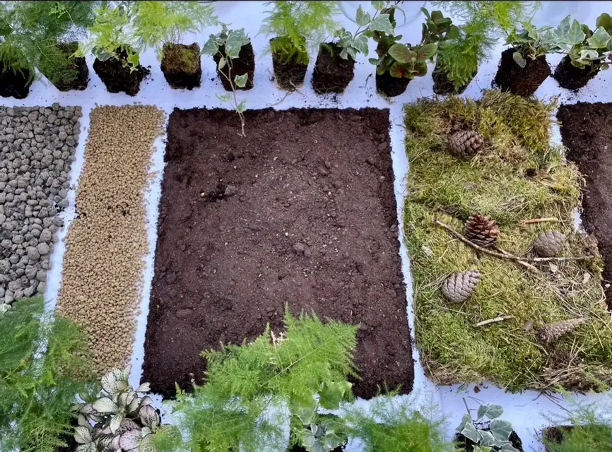 Terrarium Workshop 