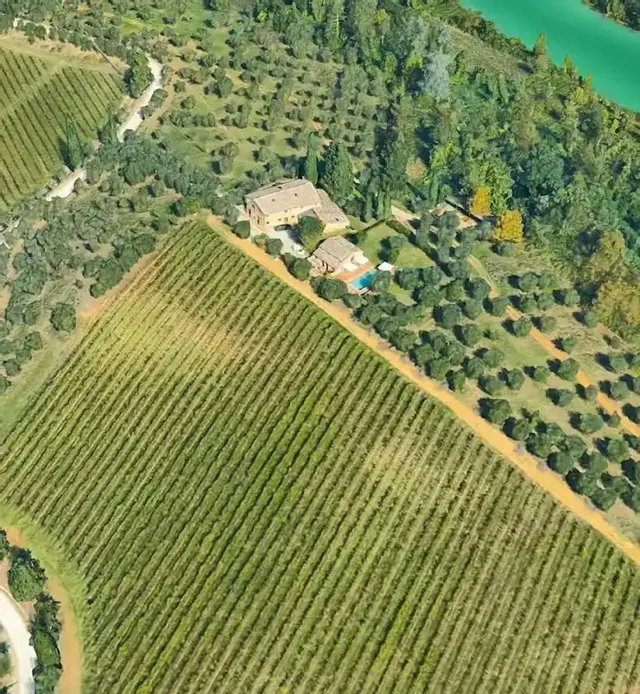 1 Maggio - Braciata in Oliveta con Degustazione di Vino