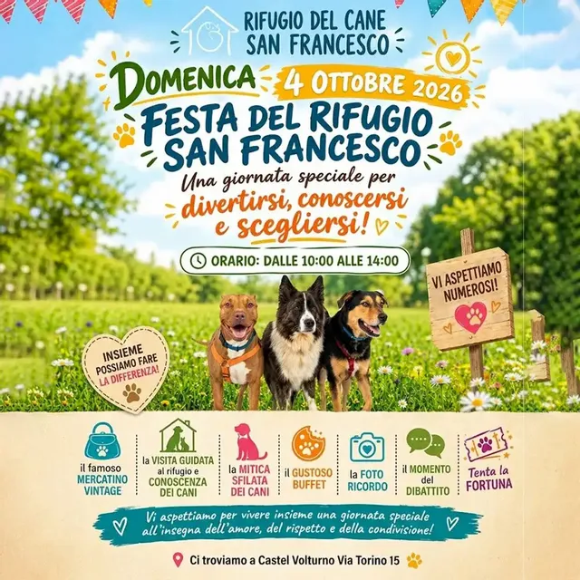 Festa Rifugio San Francesco: 180 Cani in cerca di Famiglia