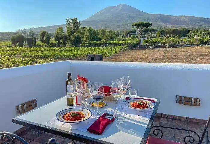 Degustazione vini con pranzo alle pendici del Vesuvio 