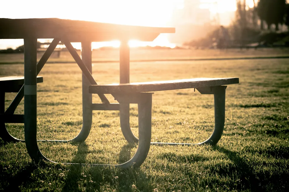 Picnic & chill : nuovi amici all'area aperta