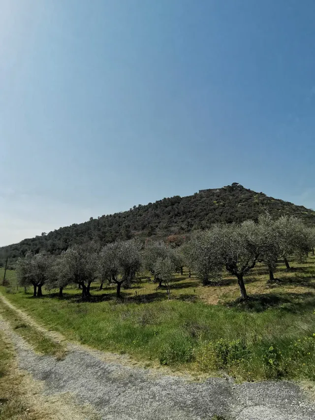 Hiking Digital Detox