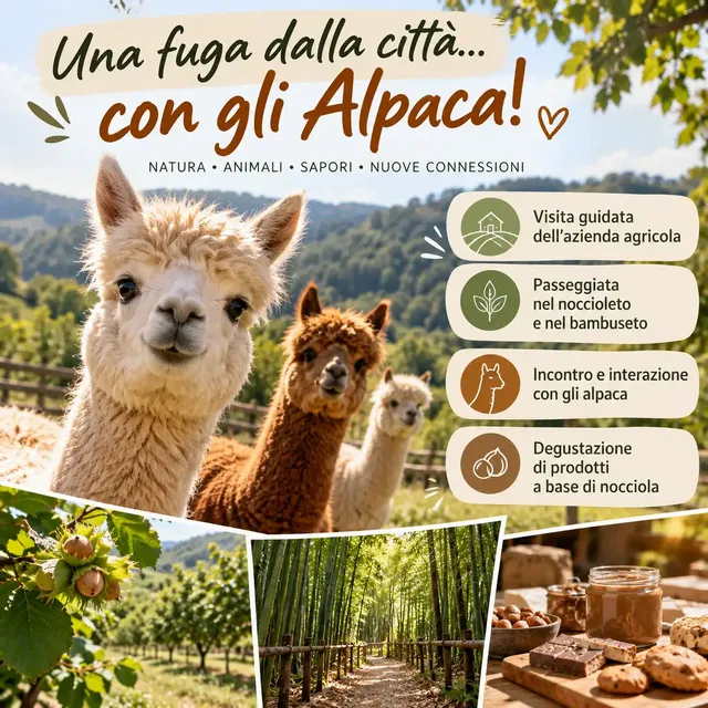 🦙 Alpaca Escape: una mattina nella natura