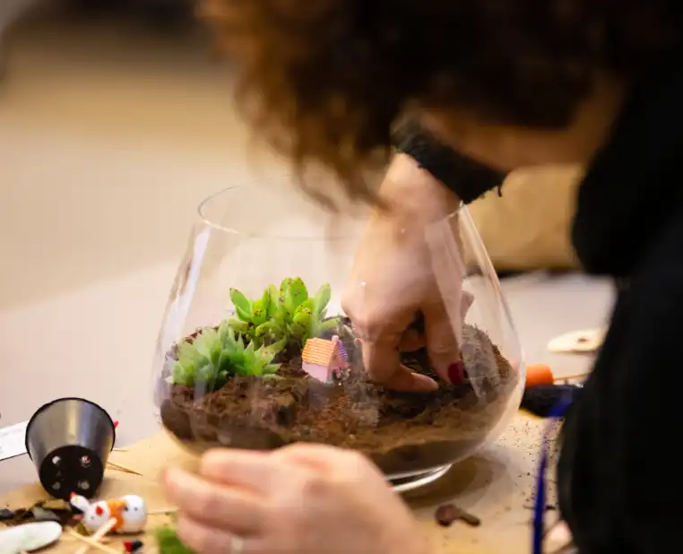 Crea il tuo Terrarium