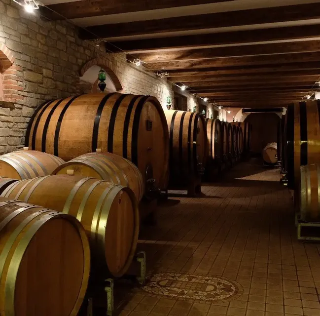 Canale Gourmet: Degustazioni e Pranzo Tipico nelle langhe