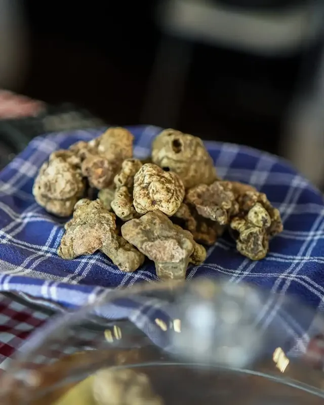 Tartofla: Sagra del Tartufo, Aperitivo e Clima di Festa!