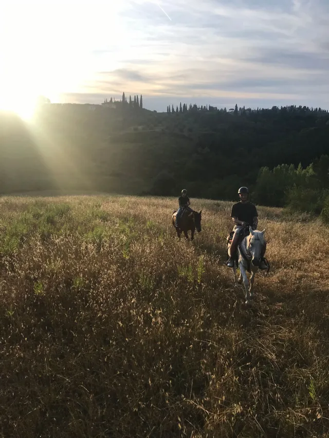 Passeggiata a cavallo sulle colline del Chianti