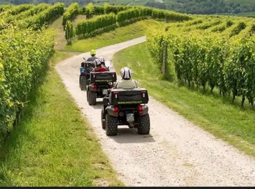 Avvenuta in quad nella Langhe : aperitour + degustazione vin