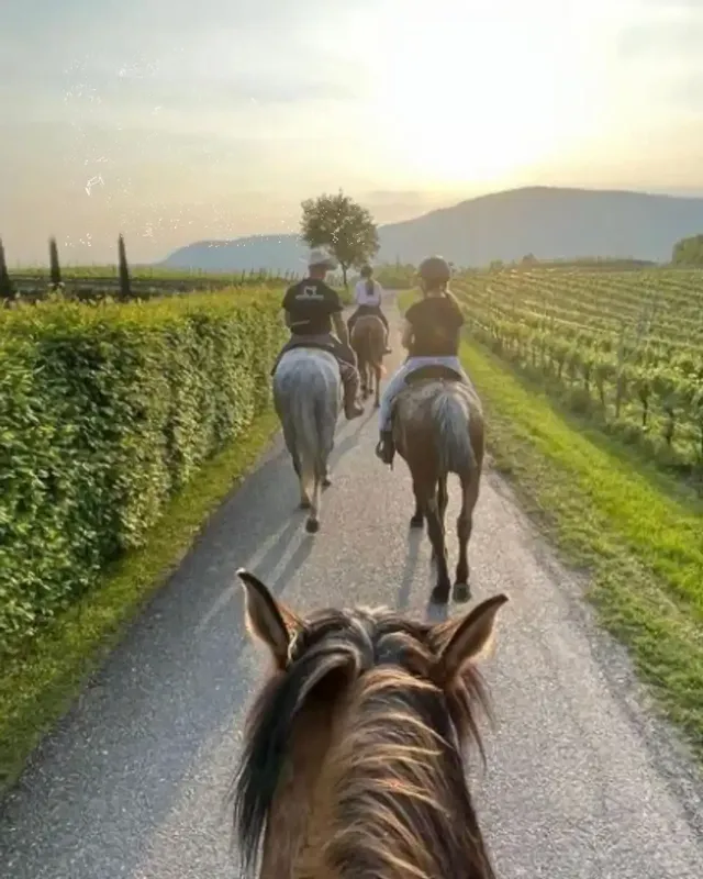Sunset al Maneggio: Aperitivo & Giro a Cavallo