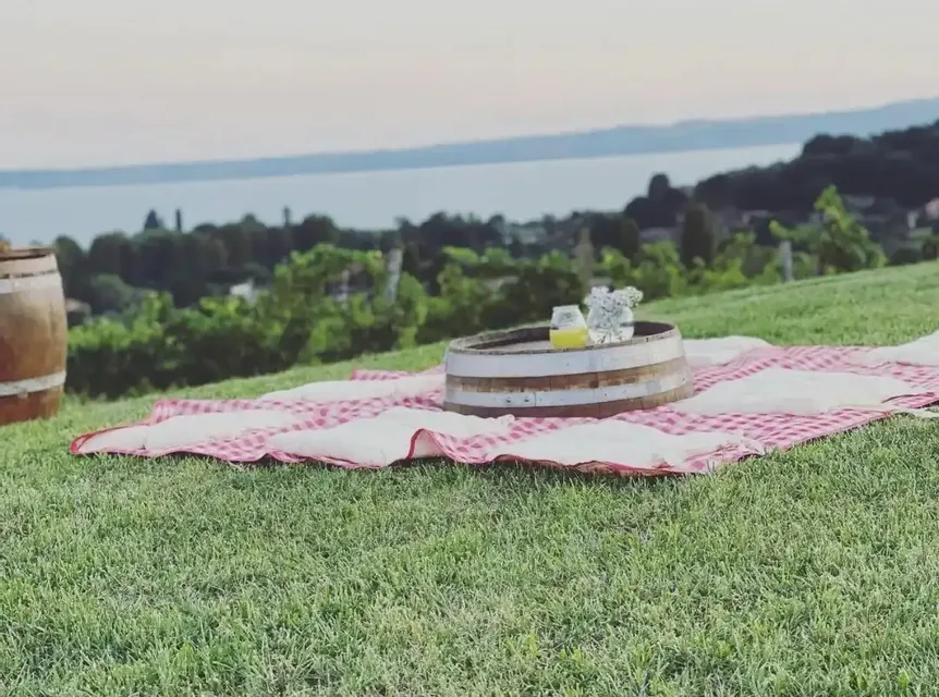 Calici e pic-nic in vigna con vista sul lago di Bracciano
