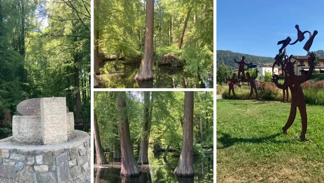 Visita Guidata al rarissimo Bosco Taxodi