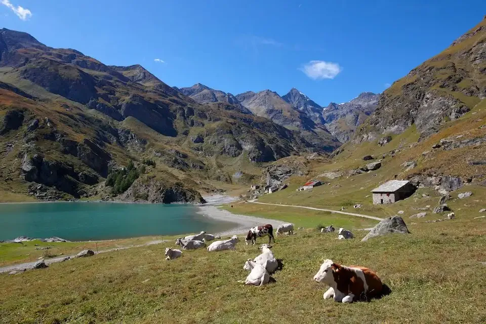 🔥⛰️ Trekking: Malciaussia e Rifugio Tazzetti