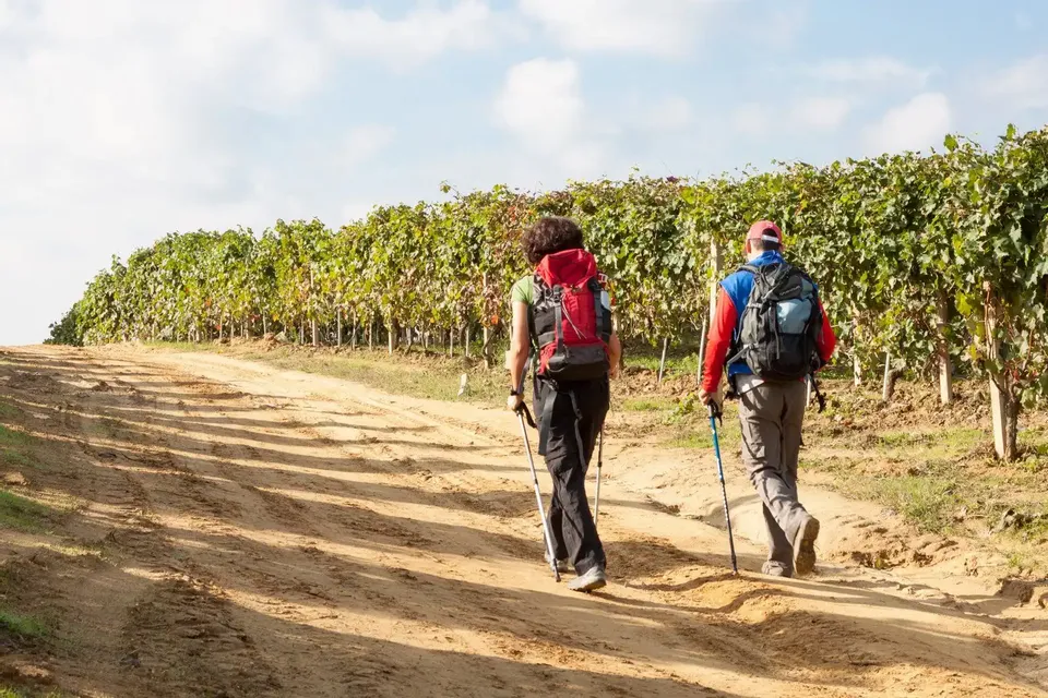 Langhe - Trekking ed opzionale degustazione 