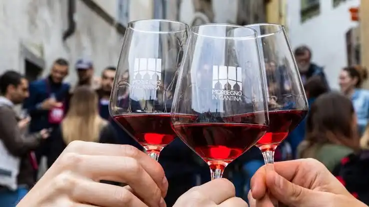 Morbegno in Cantina