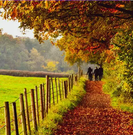 Weekend Walk — Rheinufer