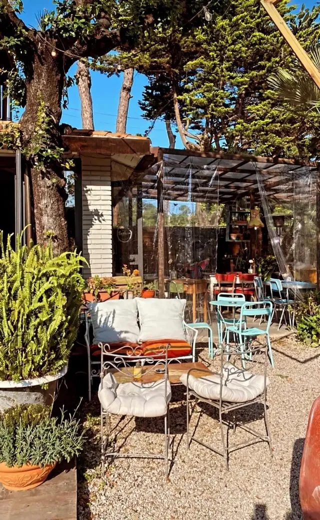 🌿 Gardening & Botanic Brunch nel giardino bohemien 🌿