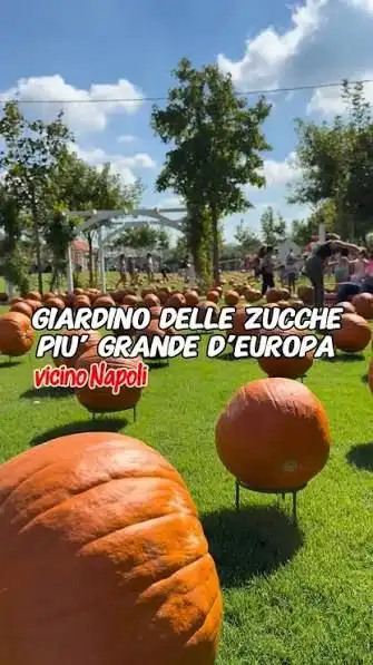 🎃INTAGLIO AL VILLAGGIO DELLE ZUCCHE PIÙ GRANDE D’EUROPA 🍂