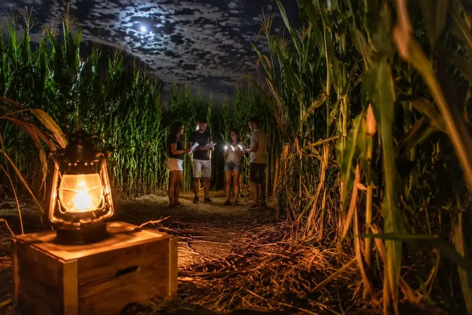 Escape game nel Labirinto di mais - un caso investigativo
