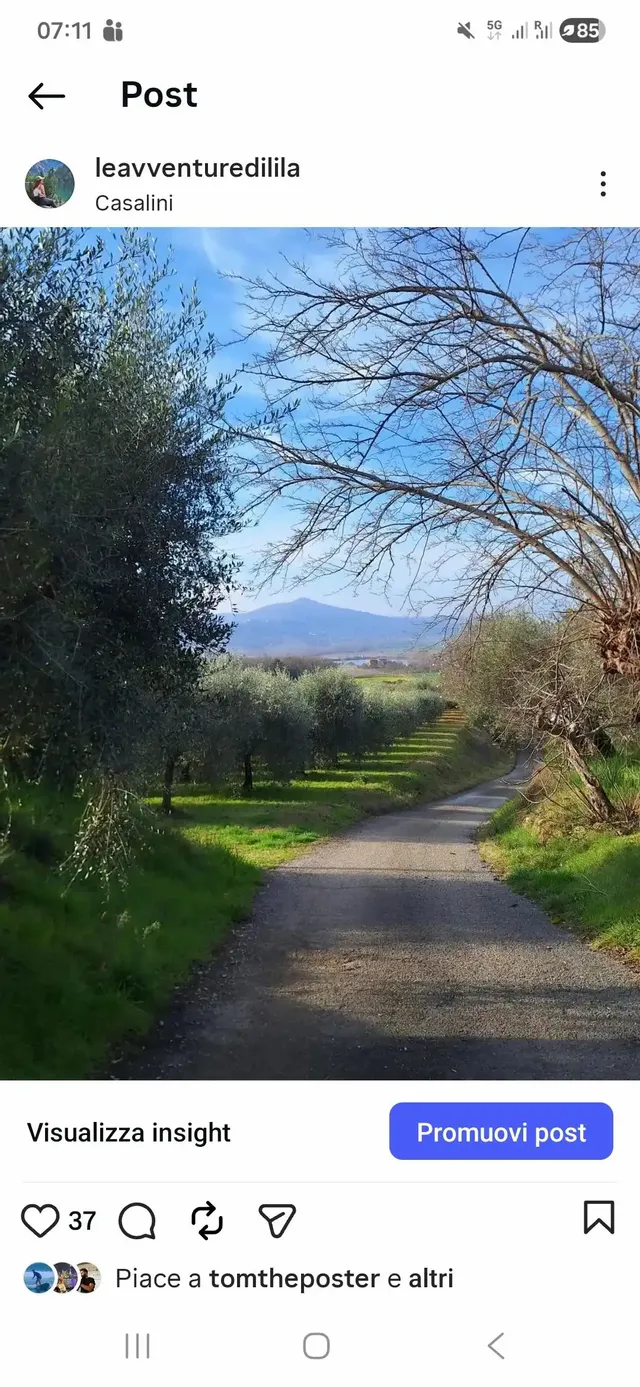 Passeggiata Digital Detox 