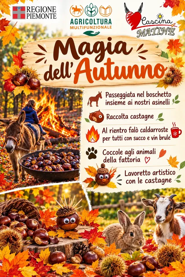 Raccolta castagne, falò e coccole agli animali 🌰🔥🐾