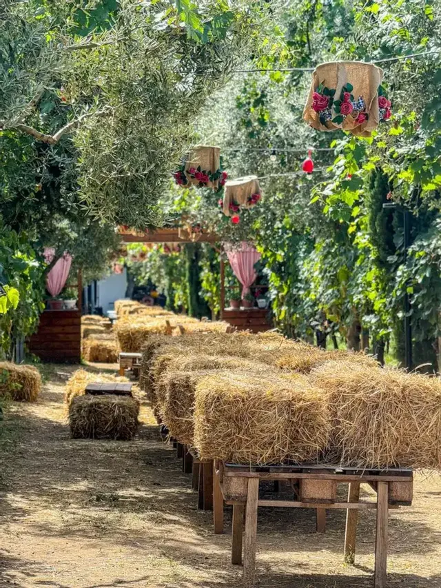 Apericena Country Style