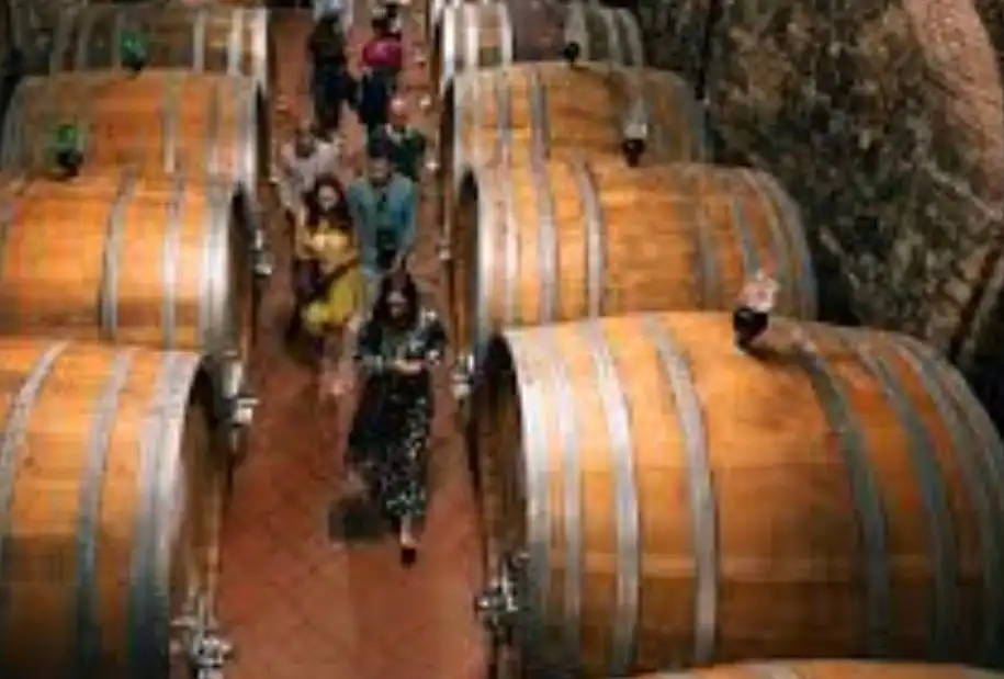 Calici nelle Langhe – Un Pomeriggio di Gusto a La Morra