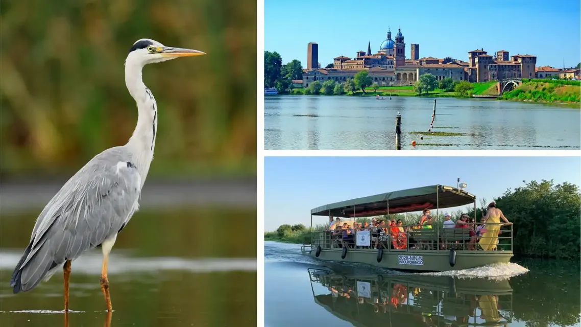 Mantova: navigazione alla scoperta della natura autunnale