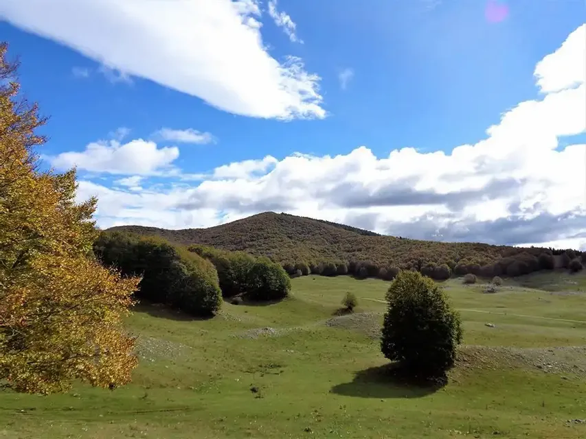 Mindful Trekking a Monte Livata