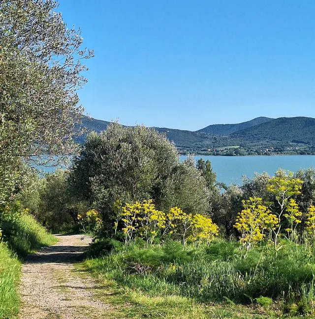 Isola Polvese Trekking Tour