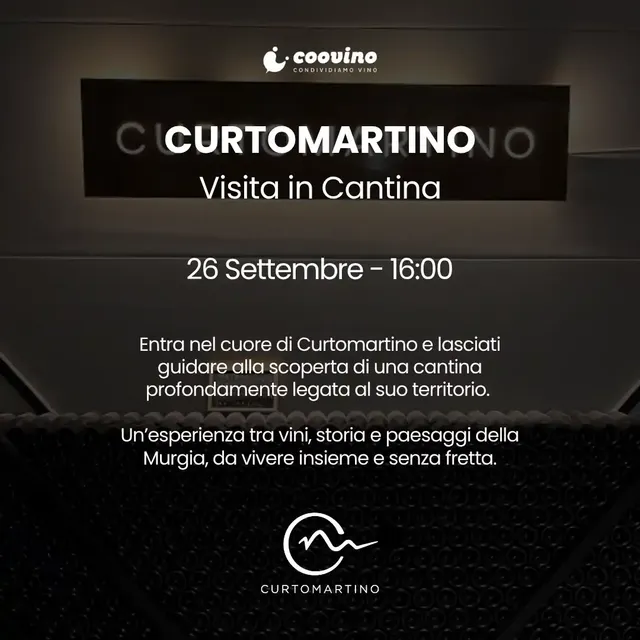 Curtomartino: vino, territorio e aperitivo in cantina 🍷