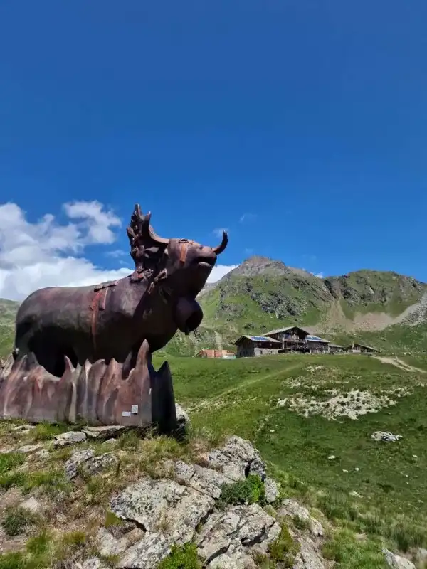  🥾Trekking al Rifugio Mont Fallère + Sculture in legno