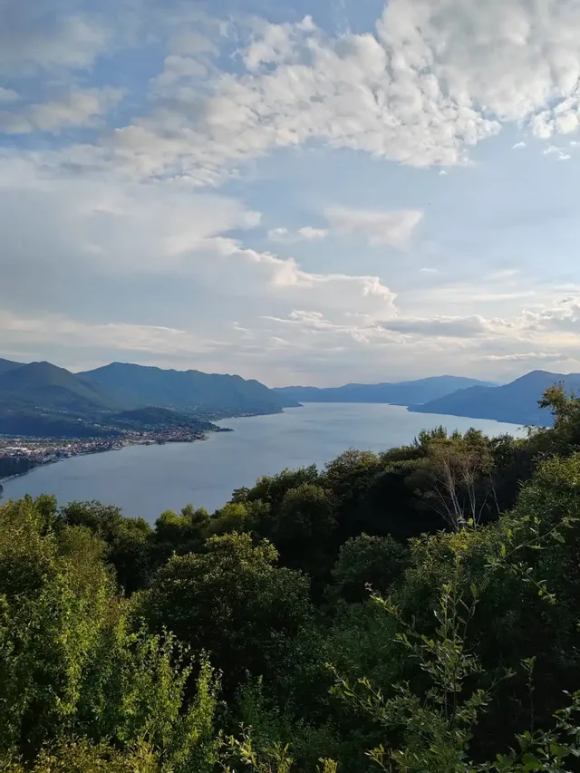Passeggiata Panoramica sul Lago Maggiore con Pranzo