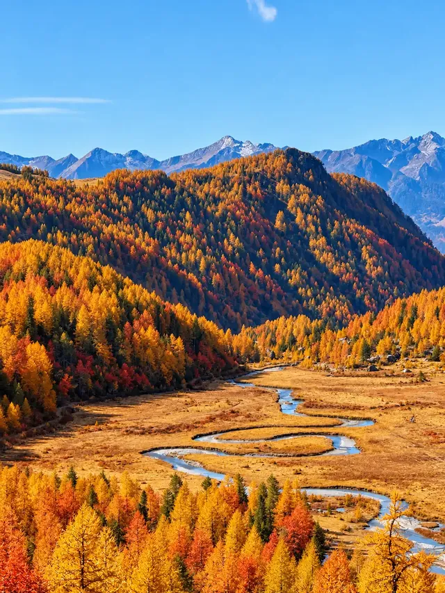 Quattro passi nel foliage: passeggiata a Preda Rossa
