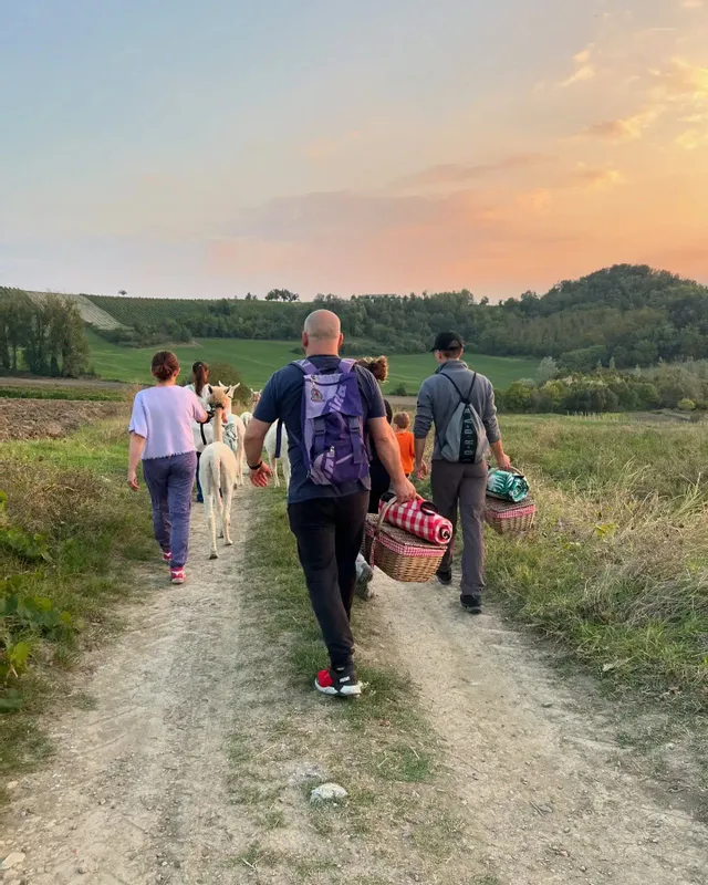 🦙 Passeggiata con alpaca e picnic | Sarezzano 