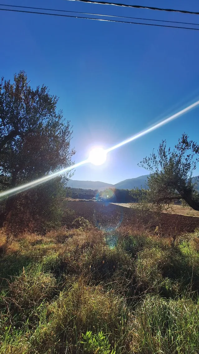 Hiking Digital Detox