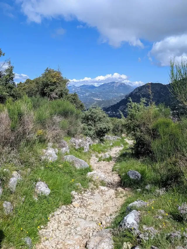 Randonnée du Mont Chauve à Aspremont 