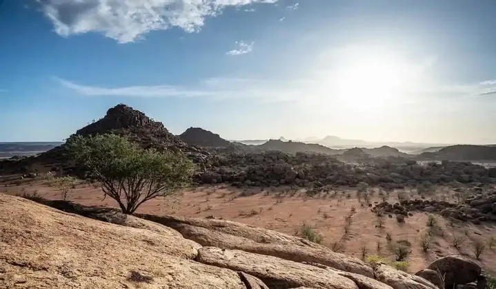 Un albero verde solitario su un fianco roccioso domina una vasta valle arida con montagne sotto un sole splendente e un cielo blu.